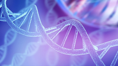pcr